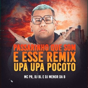 Passarinho Que Som É Esse? (Remix Upa Upa Pocotó)