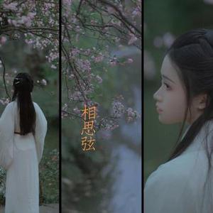 相思弦