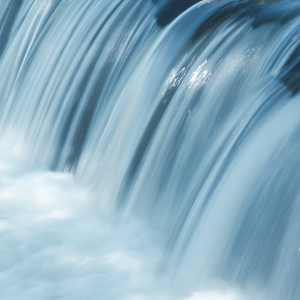 Mists Cloud the Windows