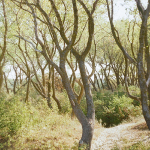 У балтийского моря