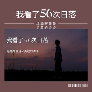 我看了56次日落