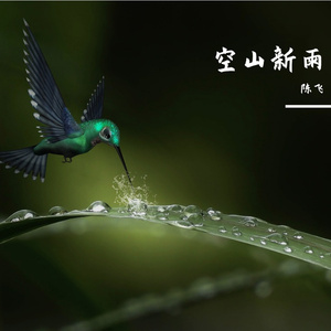 空山新雨