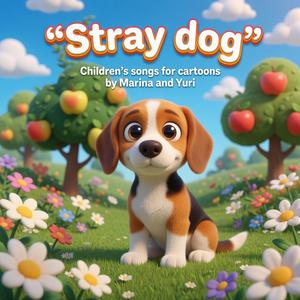 Stray dog