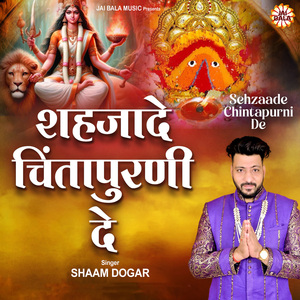 Sehzaade Chintapurni De