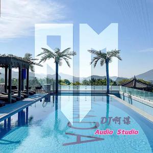 梦然 - 是你 (Dj啊谋 ProgHouse Remix)车载版