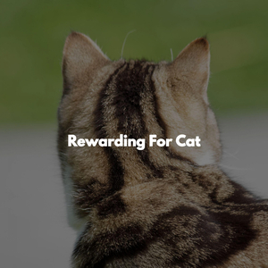 Ballad Jazz Soundtrack for Espresso Vibing