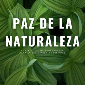 Tonos Tranquilos De La Tempestad