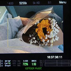 想起他们【Echos of Reverie】