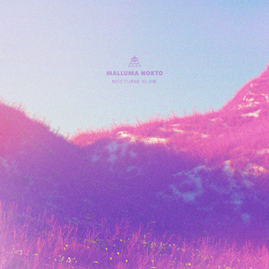 Nocturne Glow