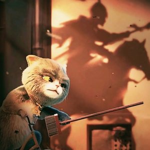 去趟月光（翻自 张天宇）