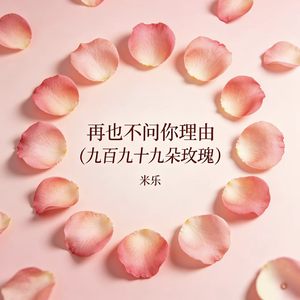 再也不问你理由（九百九十九朵玫瑰）