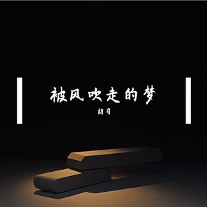 被风吹走的梦