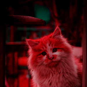 বন্ধু আজান দে