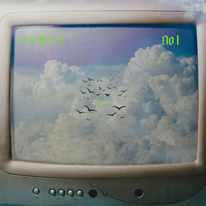 No 1 ᴘᴀʀᴋʏ