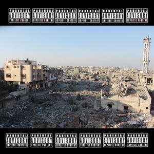 GAZA/pigeonparalysis