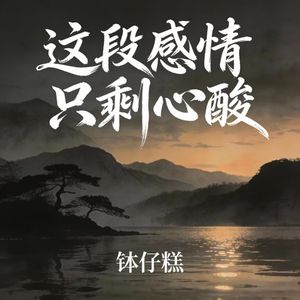 这段感情只剩心酸
