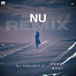 Nu (feat. Dj Project) (Remix)
