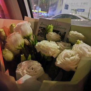 补票Demo(prod.LickRodrigo)