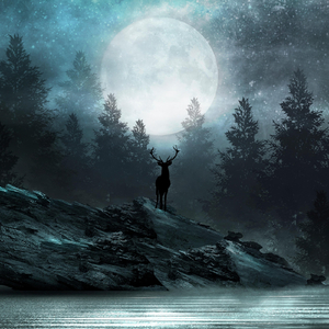 Day 200: True and False