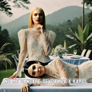 No Me Cansare Sevdaliza X Karol