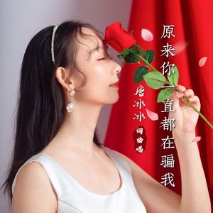 原来你一直都在骗我 (DJ版)