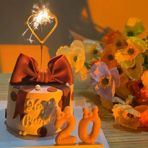 欢迎光临你的二十岁