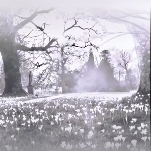 Sicke-Улетали Птицами Гордыми间奏（秋枫泽也 remix）