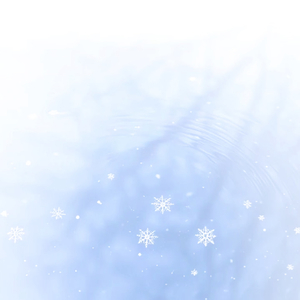 Rick Astley-雨的声音（爱妃 remix）