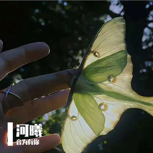 河曦 伴奏