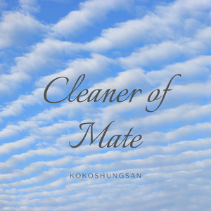 Cleaner of Mate