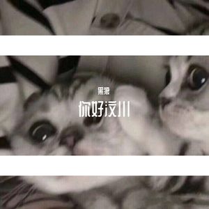 你好汶川