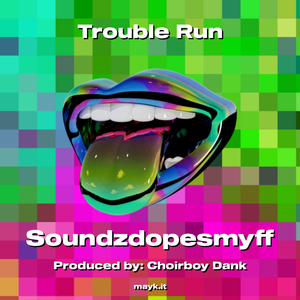 Trouble Run