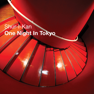 One Night in Tokyo (Mathias Mesteno Mix)