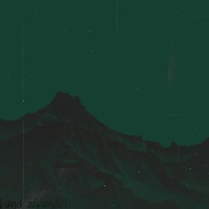 假画