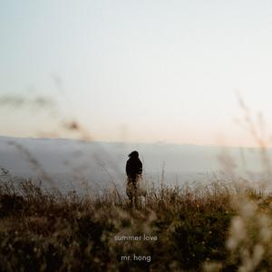 summer love (feat. Summer Soul)