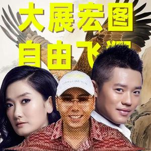大展宏图 x 自由飞翔 - 揽佬/凤凰传奇【Mashup】