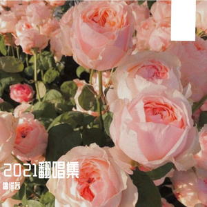 난（翻自 生存直播）