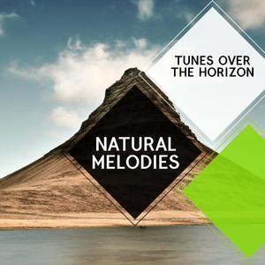 Wishful Mountain Night