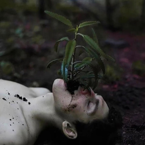 酒中夹杂的情绪