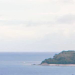 แปลไม่ออก