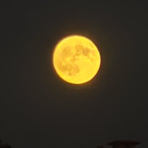 笑着笑着就哭了.mp3