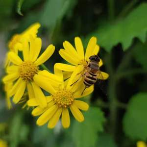 追求卓越无极限