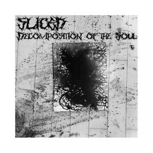 A Moment of Clarity Before We Die