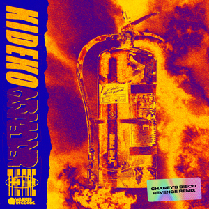 The Fire (CHANEY'S Disco Revenge Remix)