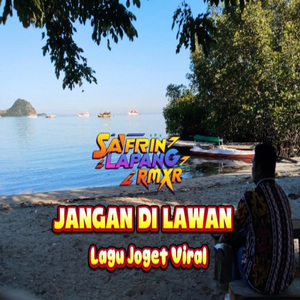 Jangan Di Lawan（Lagu Joget Viral）