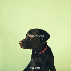 安静的孤独的狗声音