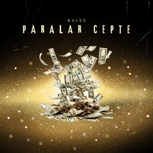 Paralar Cepte