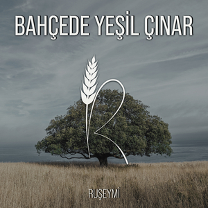 Bahçede Yeşil Çınar (Akustik)