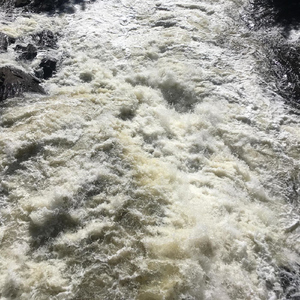 Every Man for Himself