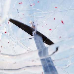 Не соперники